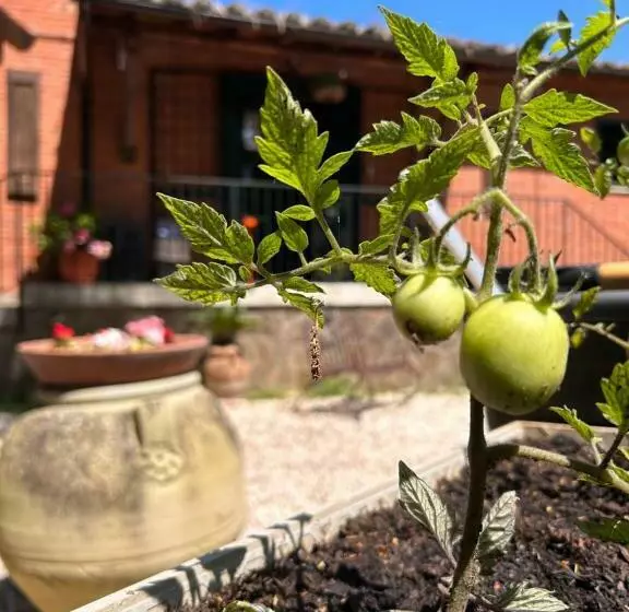 ベッドアンドブレックファースト L Antico Granaio