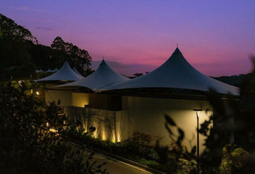 Hotel 真意帐篷房车营地