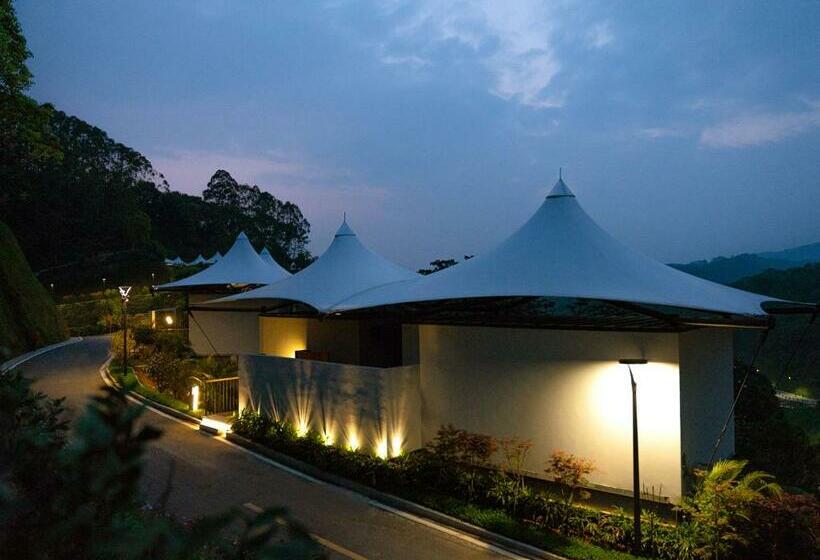 Hotel 真意帐篷房车营地