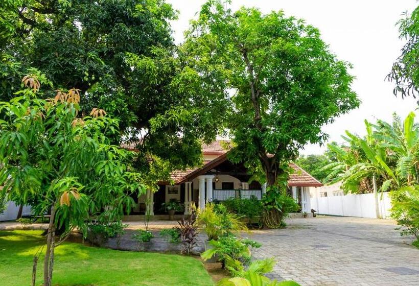 بنسيون Flamingo Villa