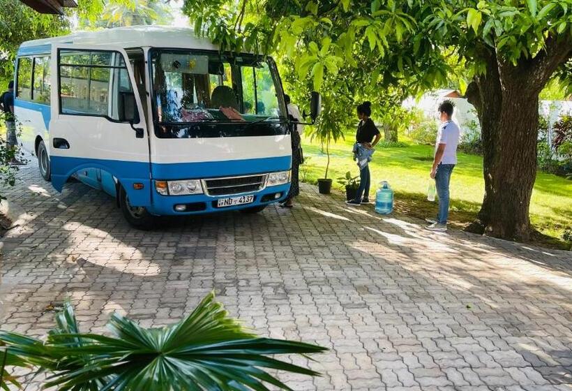 بنسيون Flamingo Villa