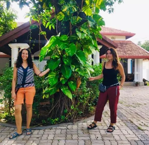 پانسیون Flamingo Villa