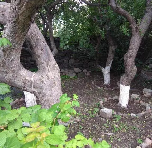 پانسیون House In Gergeti