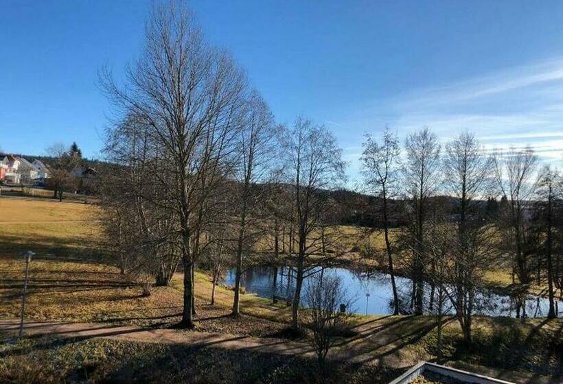 Ferienwohnung Schluchseetraum Im Kurhaus