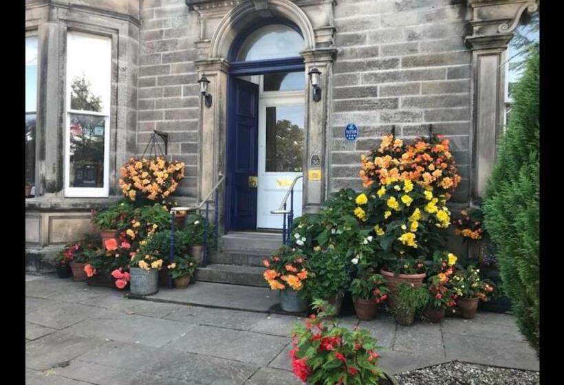 مبيت وإفطار 36 Themall