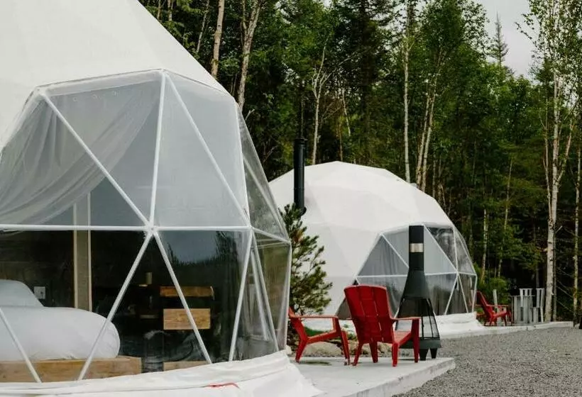 Les Diamants De L éternel