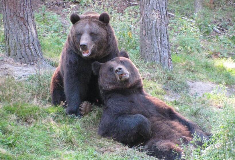 Gästehaus Pension Heß   Das Kleine