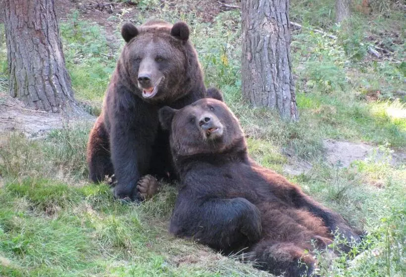 Gästehaus Pension Heß   Das Kleine