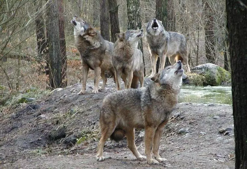 Gästehaus Pension Heß   Das Kleine