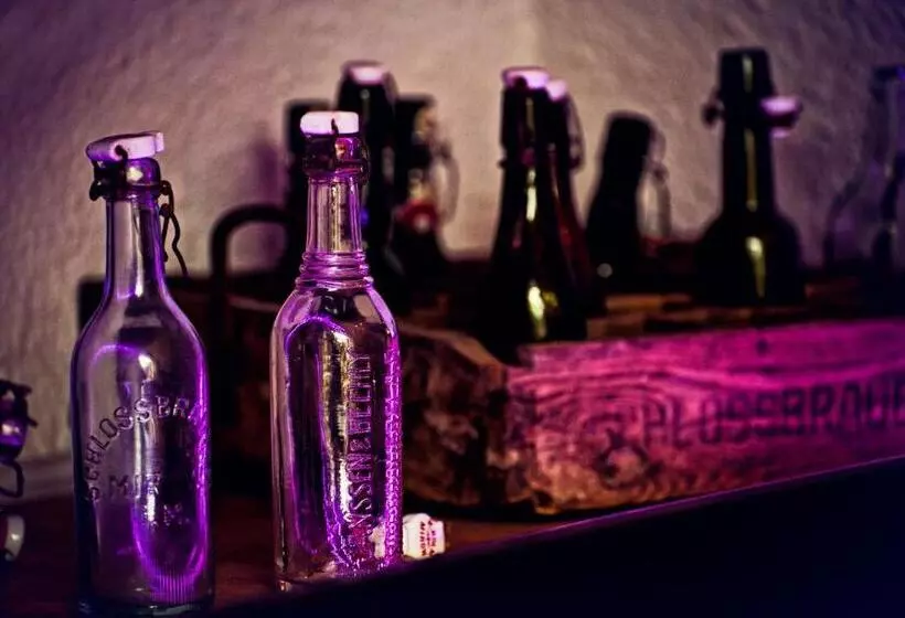 Отель Alte Schlossbrauerei