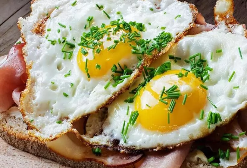 בית מלון כפרי Elegance