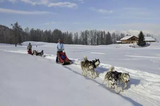 هتل Haus Bellevue