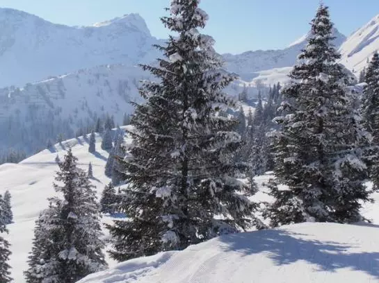 هتل Haus Bellevue