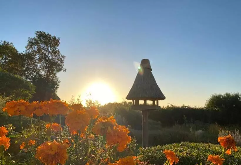 בית מלון כפרי & Restaurant Zum Kap Arkona