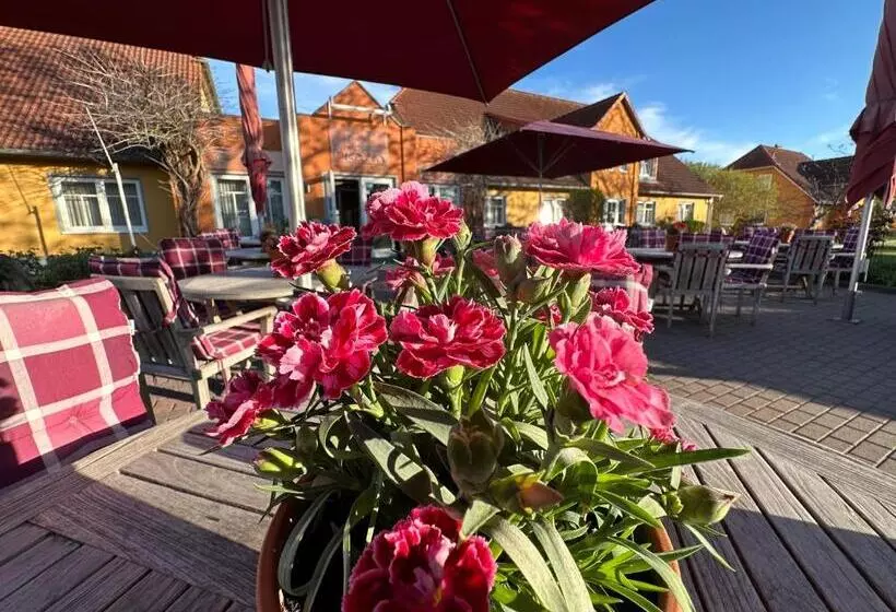 בית מלון כפרי & Restaurant Zum Kap Arkona