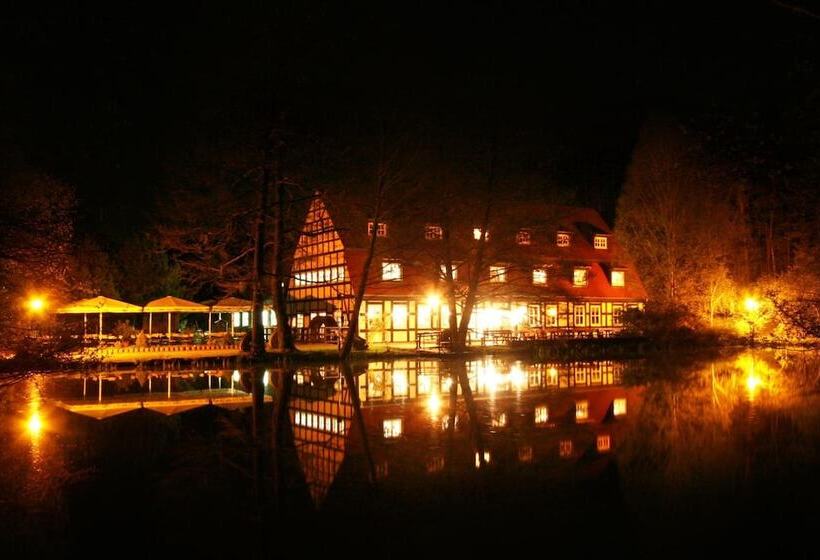 ホテル Springbachmuhle Belzig