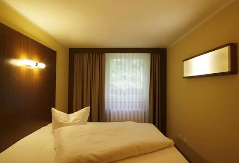 בית מלון כפרי Springbachmuhle Belzig