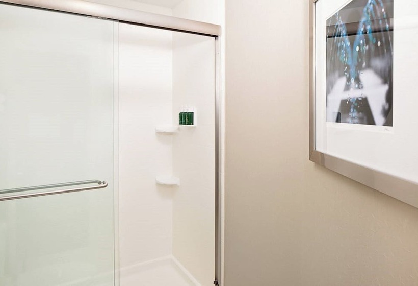 酒店 Springhill Suites By Marriott El Paso