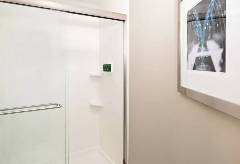 酒店 Springhill Suites By Marriott El Paso