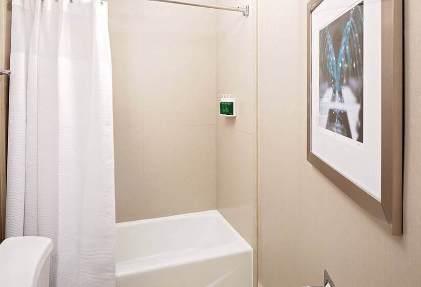 酒店 Springhill Suites By Marriott El Paso