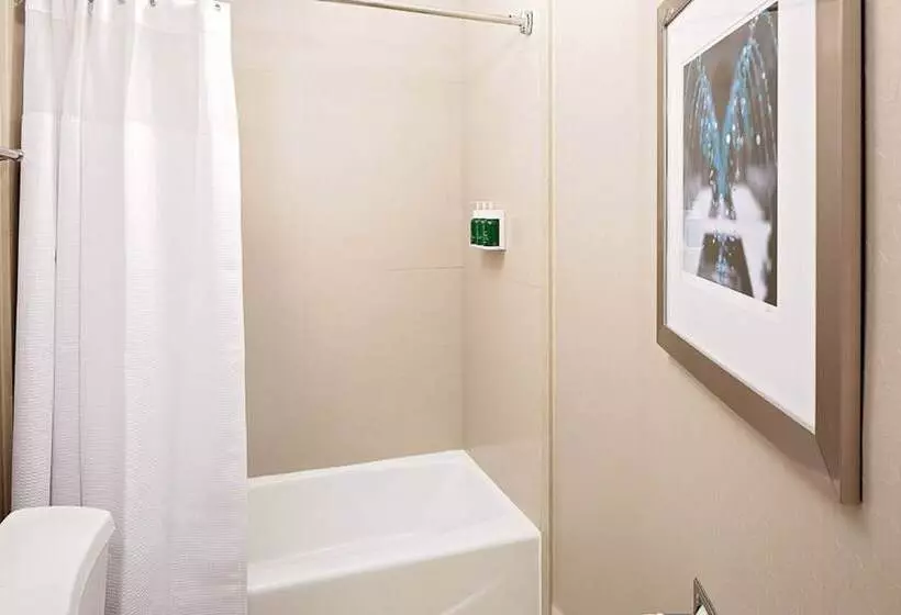 酒店 Springhill Suites By Marriott El Paso