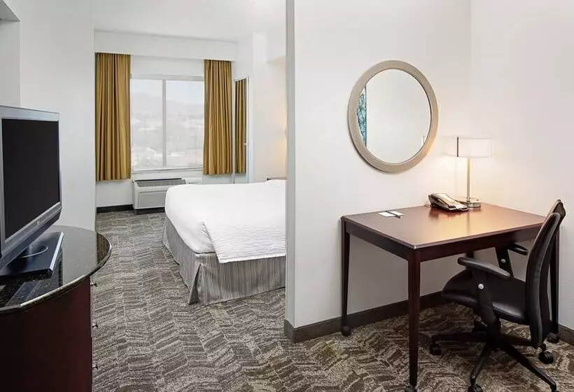 酒店 Springhill Suites By Marriott El Paso