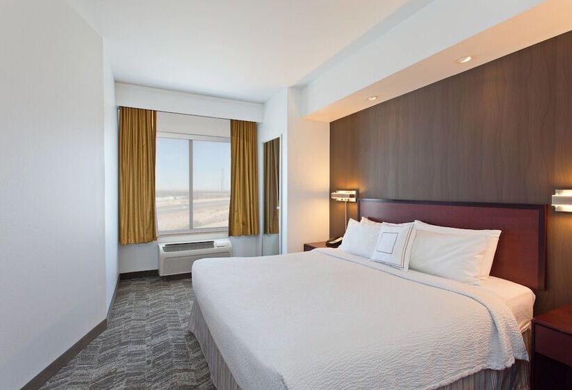 酒店 Springhill Suites By Marriott El Paso