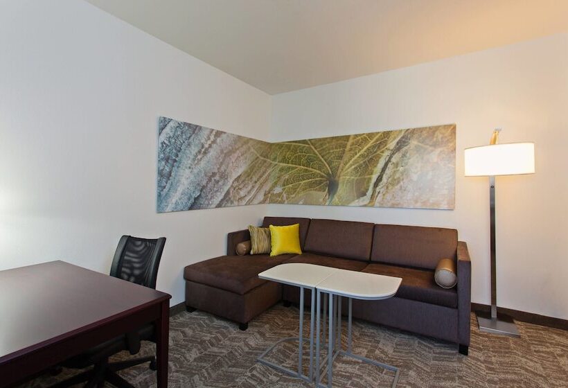 酒店 Springhill Suites By Marriott El Paso