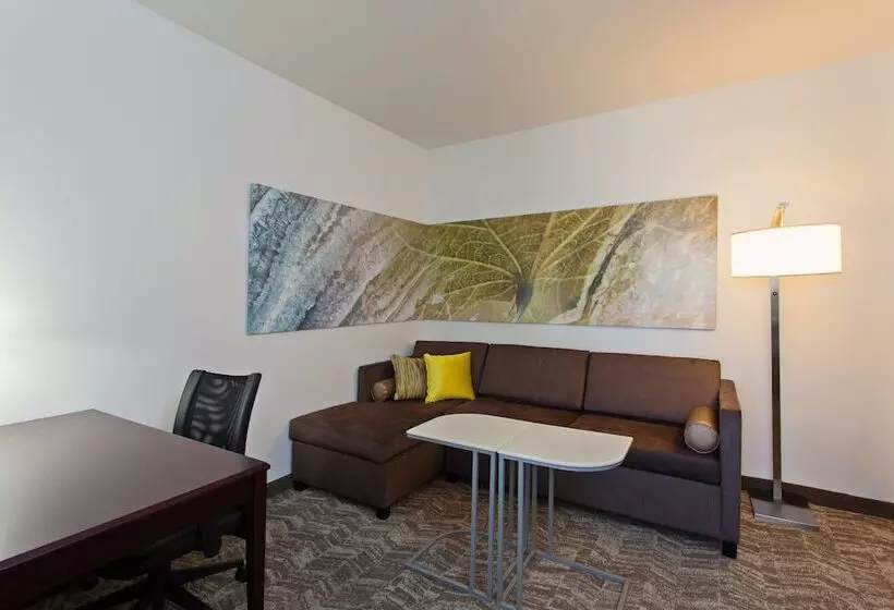 酒店 Springhill Suites By Marriott El Paso