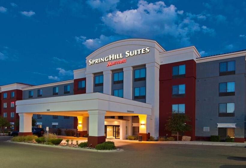 酒店 Springhill Suites By Marriott El Paso