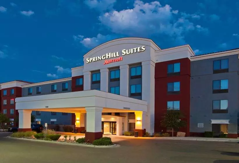 酒店 Springhill Suites By Marriott El Paso
