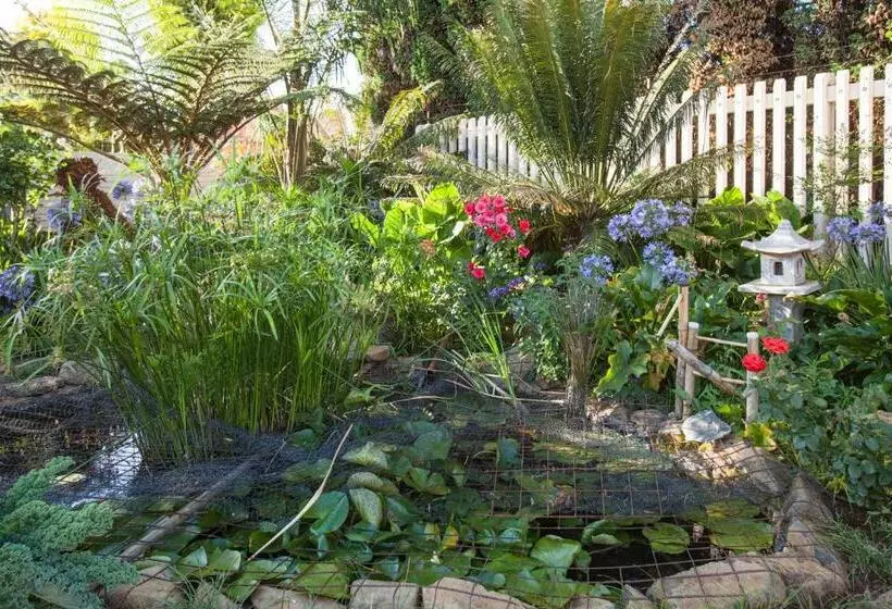 Pension Touraco Guesthouse