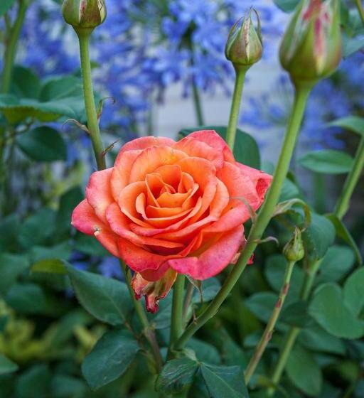 بنسيون Touraco Guesthouse