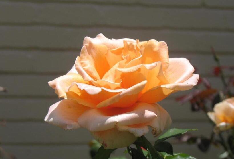 بنسيون Touraco Guesthouse