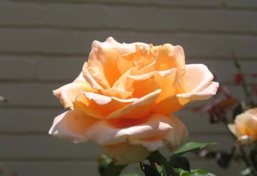 Pension Touraco Guesthouse