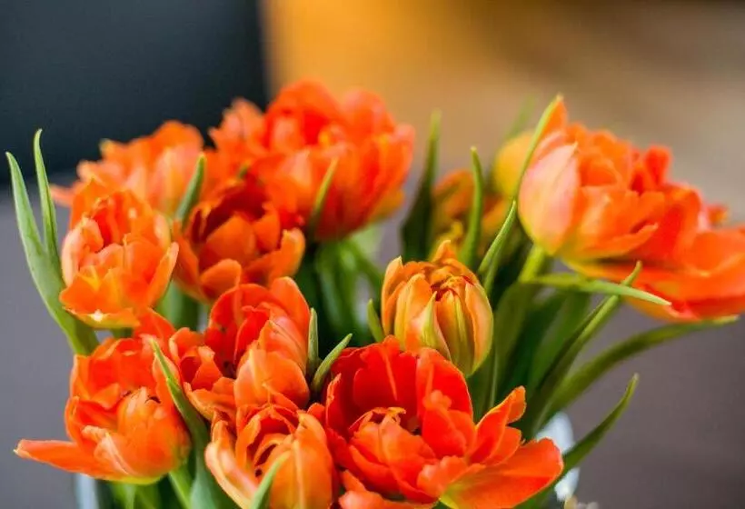 Romantik Hotel Schloss Ranzow