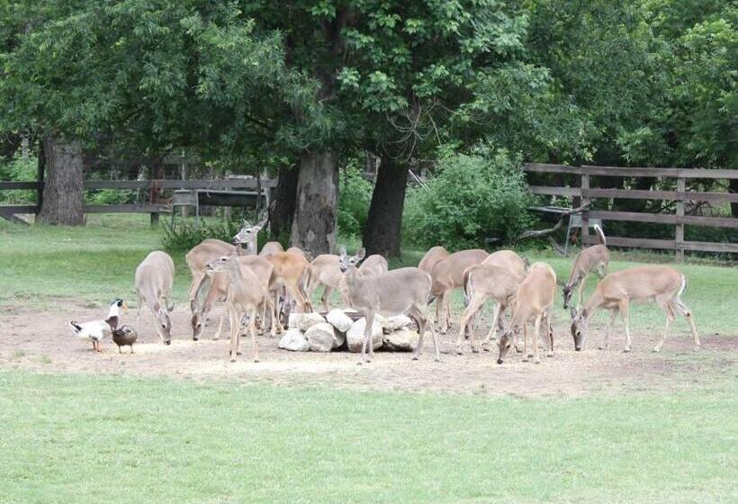 مبيت وإفطار Double U Barr Ranch   Cowboy Cabin