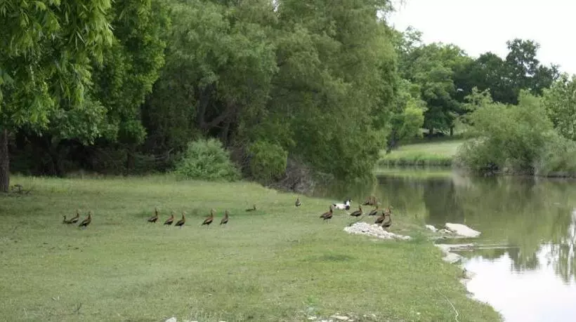 Aamiaismajoitus (B&B) Double U Barr Ranch   Cowboy Cabin