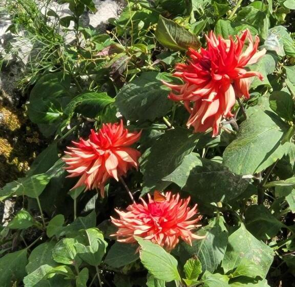 فندق Wonder Hill Inn