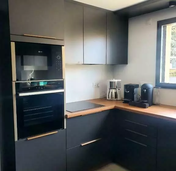 Gites Spa Strasbourg   Villa Gorille   Spa Privé, Sauna, Borne D Arcade, Babyfoot