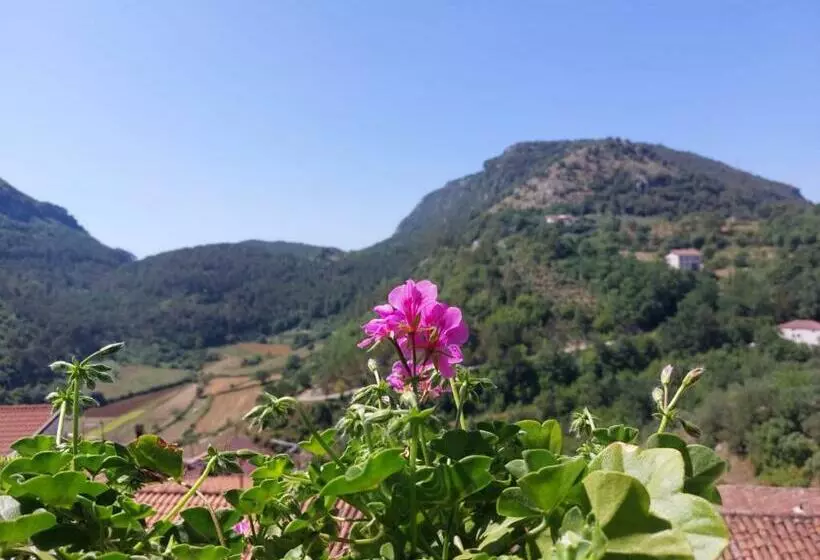 B&b Casacaselle