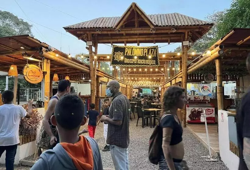 ホテル Palomino Plaza Hostel