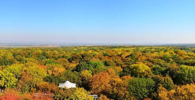 Hotelli Schloss Goldacker  Das Schloss Der Gesundheit