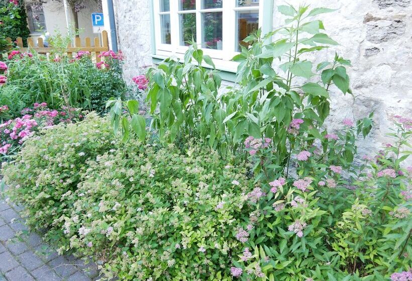 酒店 Schloss Goldacker  Das Schloss Der Gesundheit