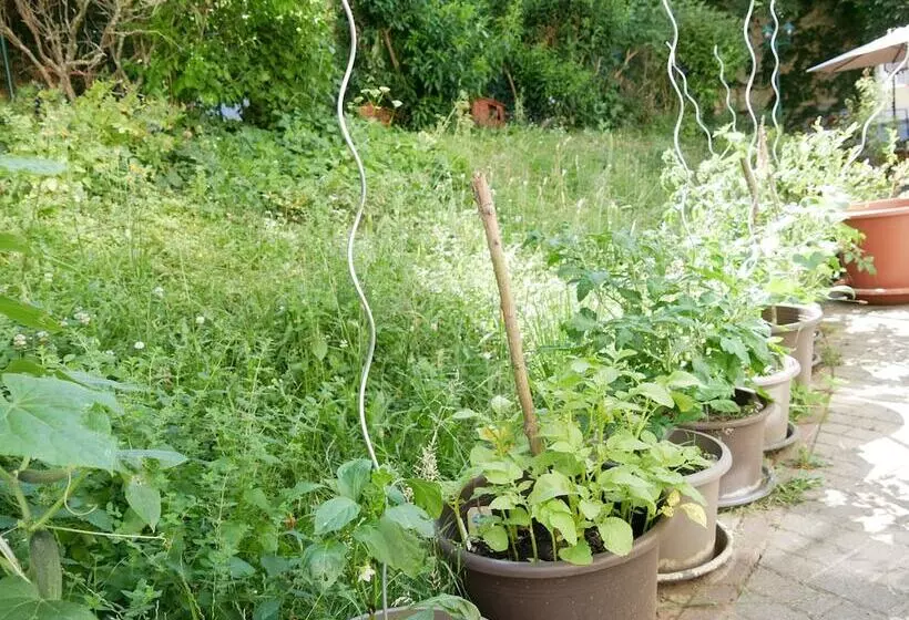 Hotelli Schloss Goldacker  Das Schloss Der Gesundheit