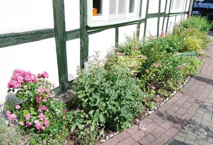 酒店 Schloss Goldacker  Das Schloss Der Gesundheit