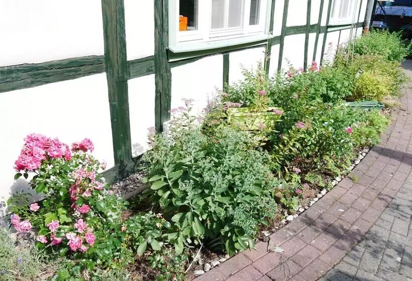 Hotelli Schloss Goldacker  Das Schloss Der Gesundheit