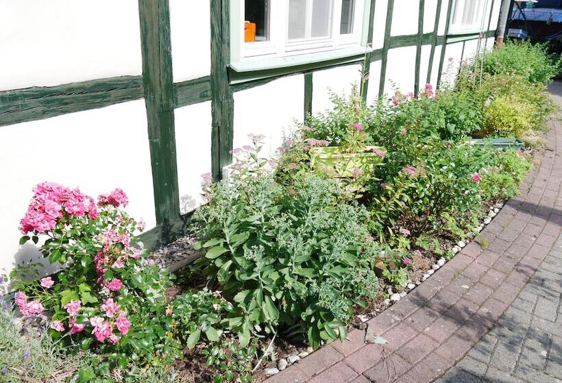 酒店 Schloss Goldacker  Das Schloss Der Gesundheit