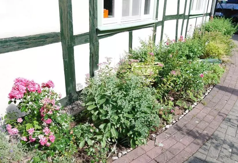 Hotelli Schloss Goldacker  Das Schloss Der Gesundheit