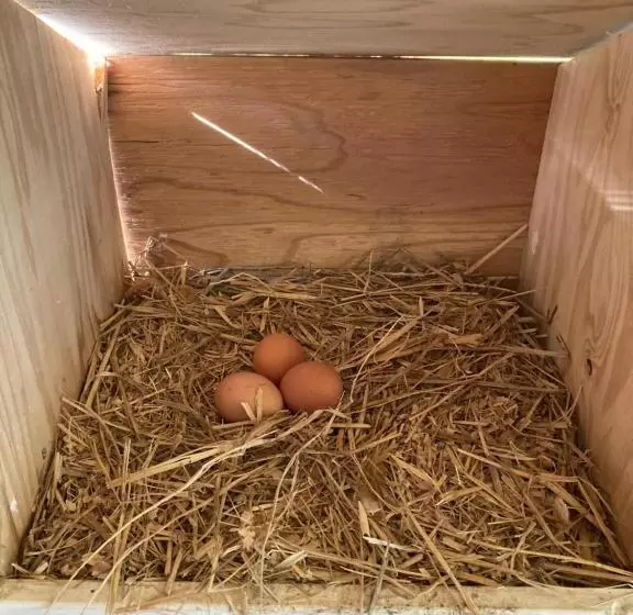 Majatalo 犬と泊まれる平屋dog Friendly House 黄昏